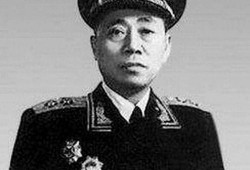 娱乐吃瓜酱陶勇,娱乐吃瓜酱背后的故事与传奇