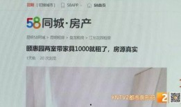 深圳沈先生最新爆料事件,揭秘背后惊人真相